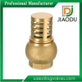 New classical brass 1/2 inch foot valve